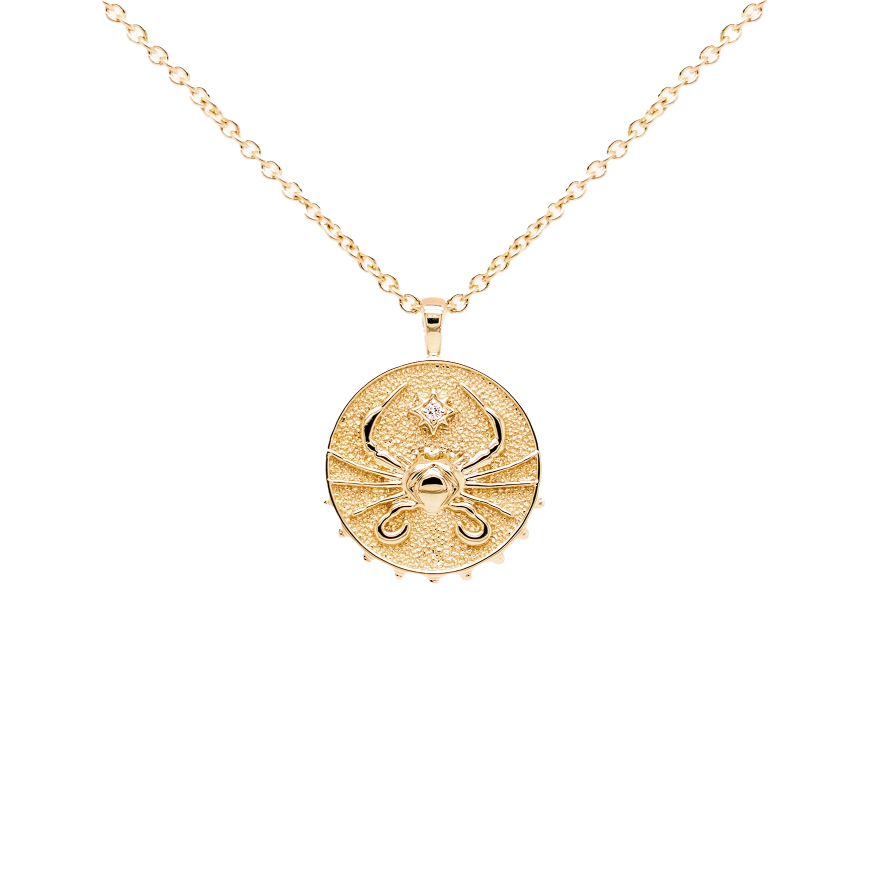 ZODIAC MEDALLION NECKLACE